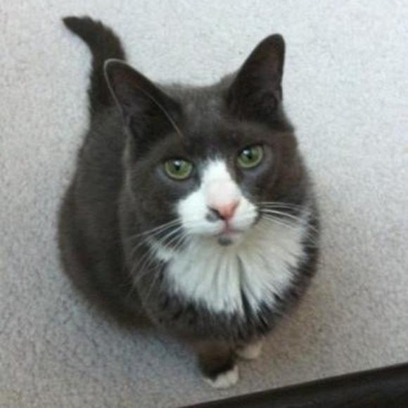 Meet your Posher, Nancy - Picture 1 of 1